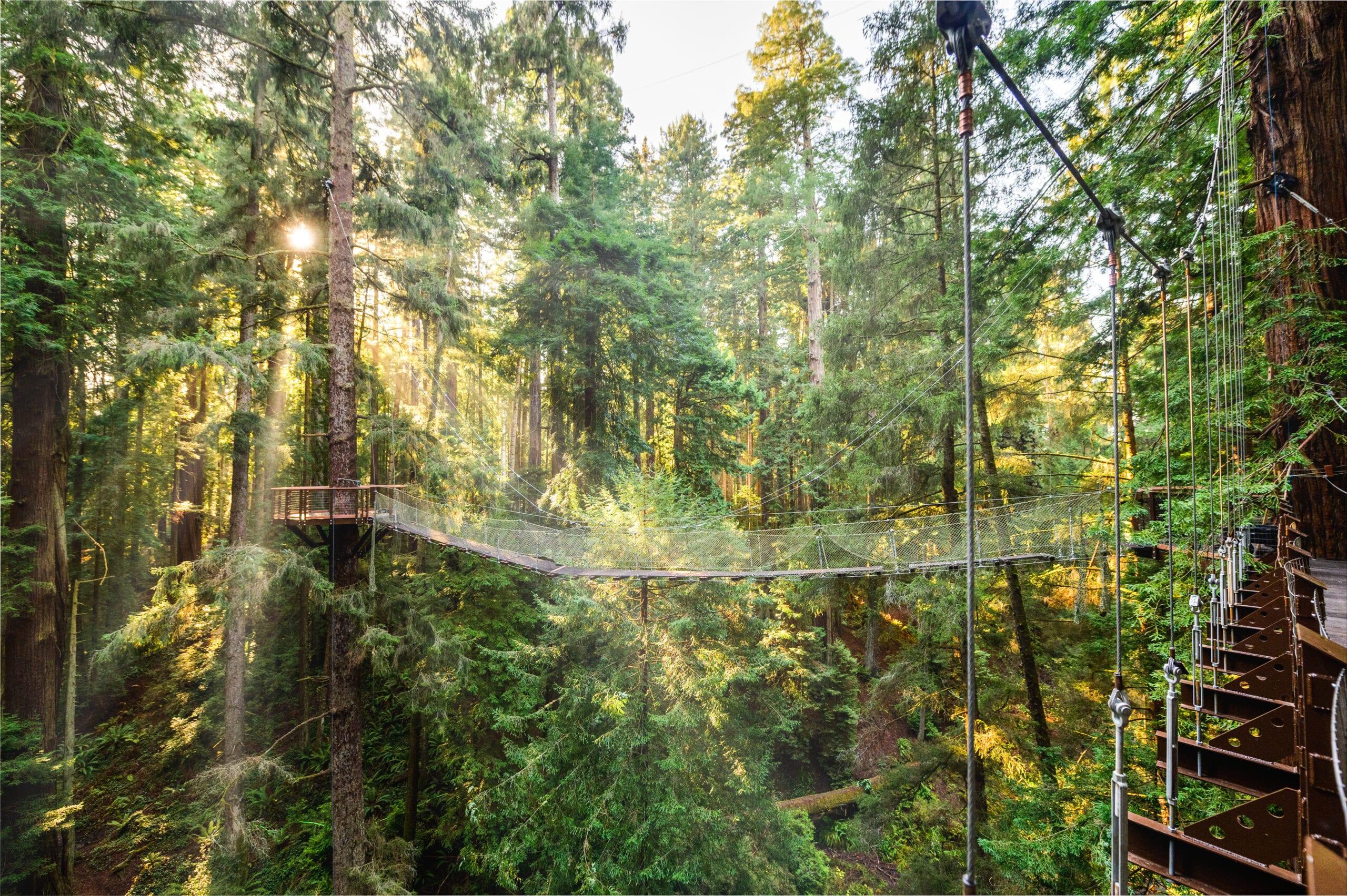 Skywalk-10